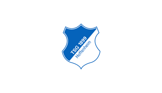 TSG Hoffenheim: het opkomende voetbalteam